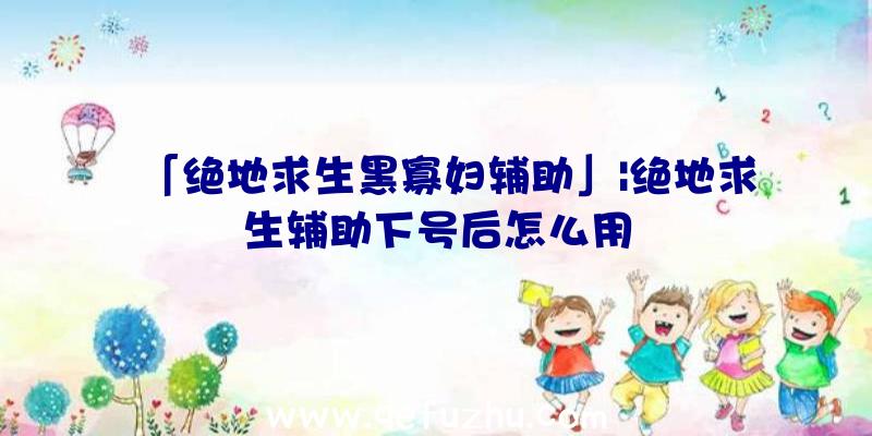 「绝地求生黑寡妇辅助」|绝地求生辅助下号后怎么用